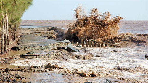 แผนปฏิบัติการแห่งชาติการเปลี่ยนแปลงของสภาพภูมิอากาศช่วงปี 2012-2020 - ảnh 1